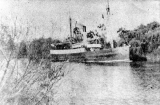 S.S. Waimarie on Waihou River bound for Auckland, May 1907